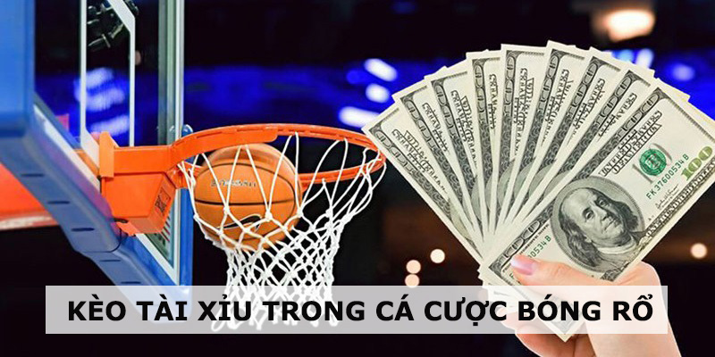 Hướng Dẫn Luật Và Kinh Nghiệm Chơi Cá Cược Bóng Rổ Thông tin về kèo tải xỉu trong cá cược bóng rổ